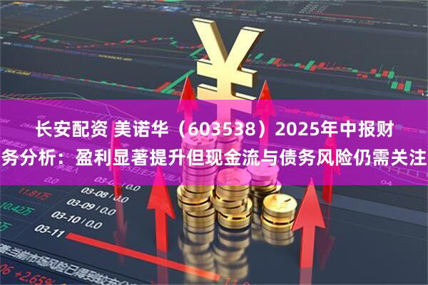 长安配资 美诺华（603538）2025年中报财务分析：盈利显著提升但现金流与债务风险仍需关注
