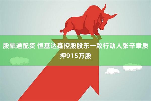 股融通配资 恒基达鑫控股股东一致行动人张辛聿质押915万股